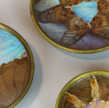 JUEGO DE 3 ALHAJEROS ART DÉCO - Cristal, bronce y alas de mariposas.